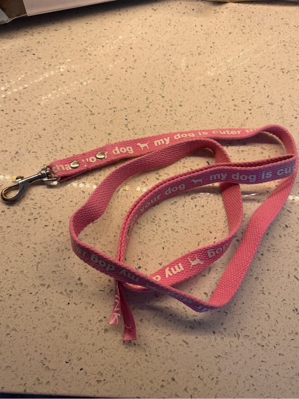 PINK Victoria's Secret Pink Dog Leash with White Text